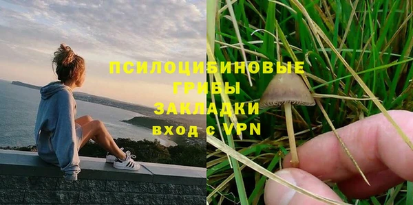 дурь Верхний Тагил