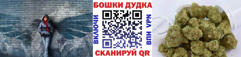 Бошки Шишки план  Кинель 